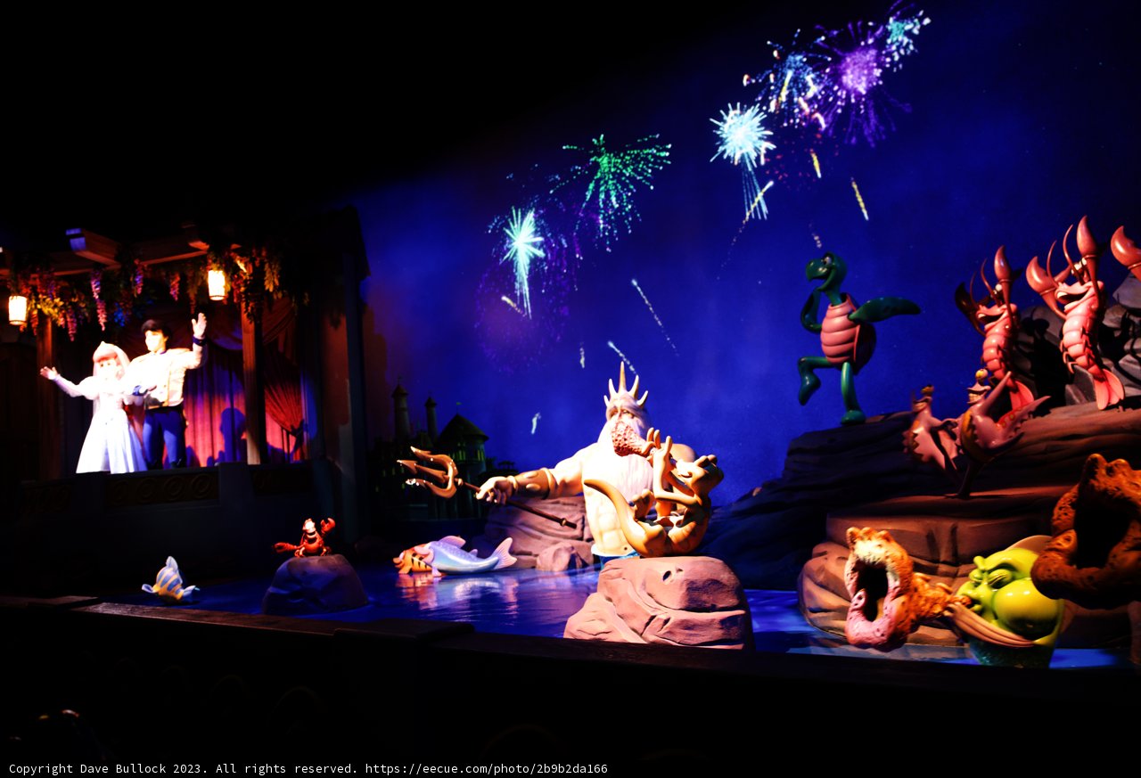 Magical Concert Experience at Disneyland