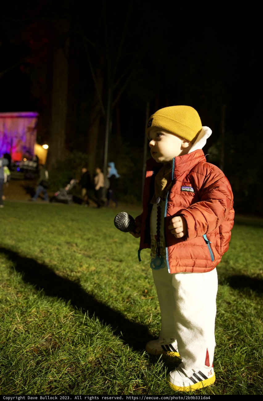 The Young Adventurer at the Stern Grove Halloween Festival