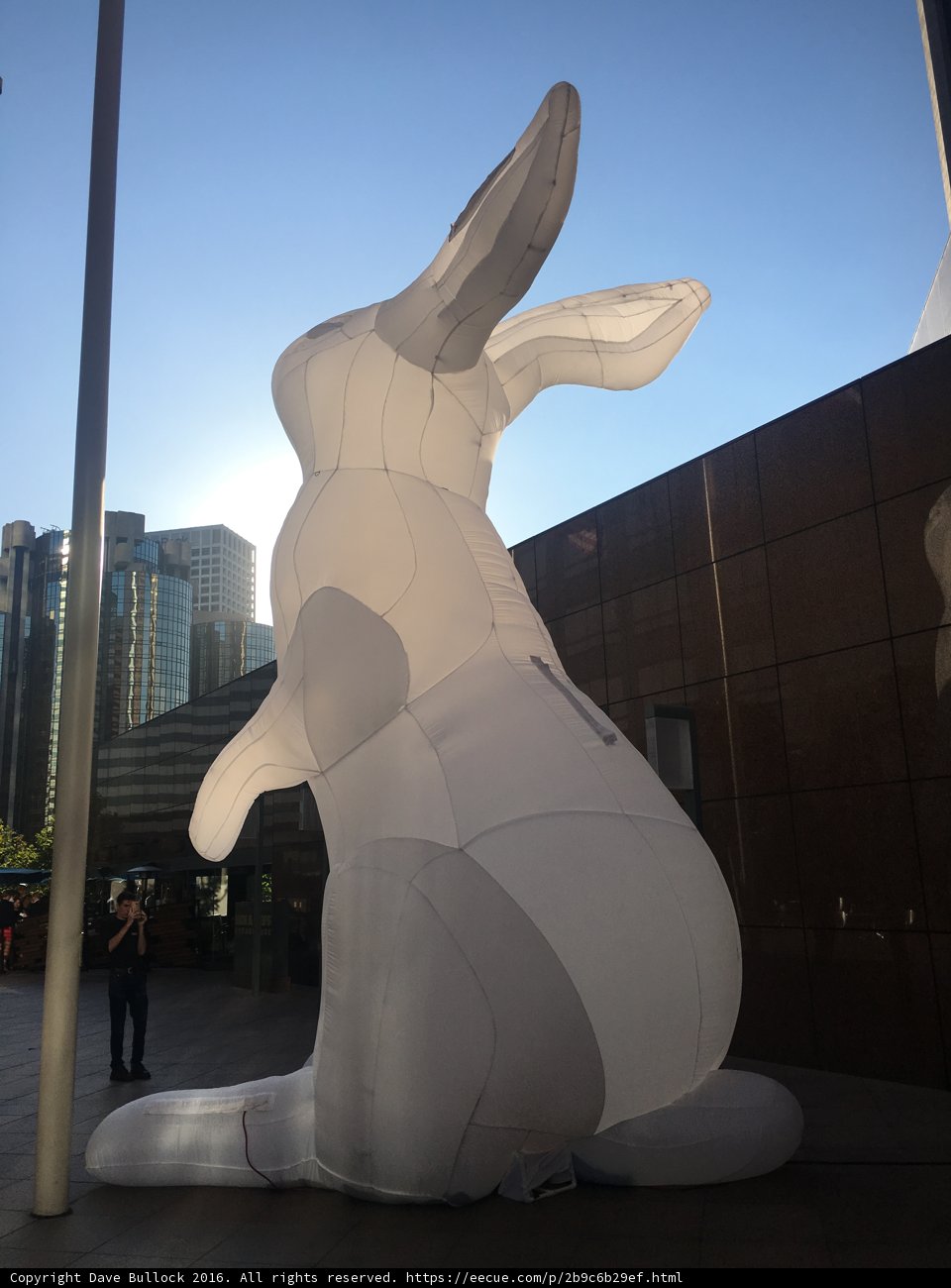 Bouncing Bunny in the Metropolis