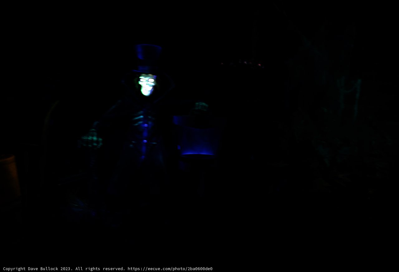 Mysterious Man in the Shadows