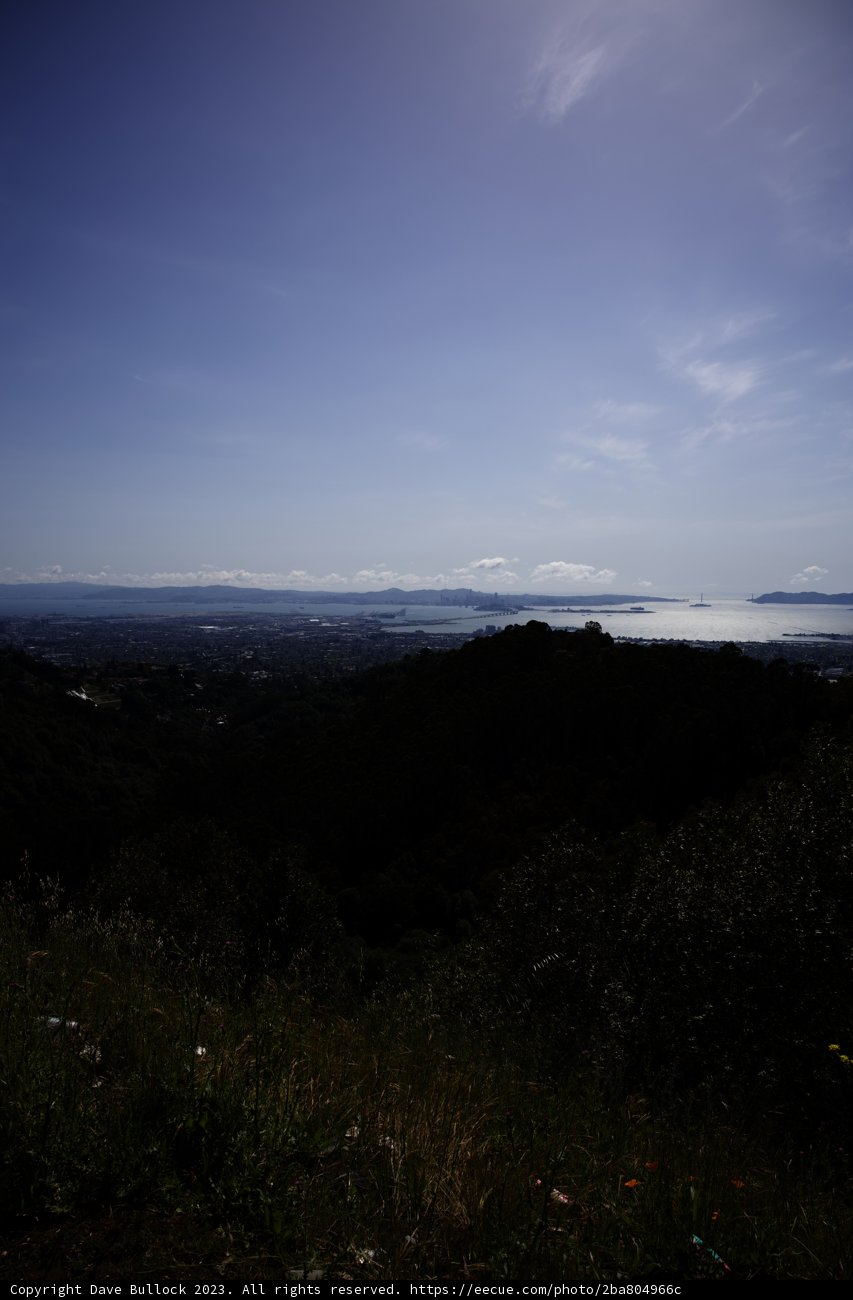 Thrilling Skateboard Ride in the Berkeley Hills