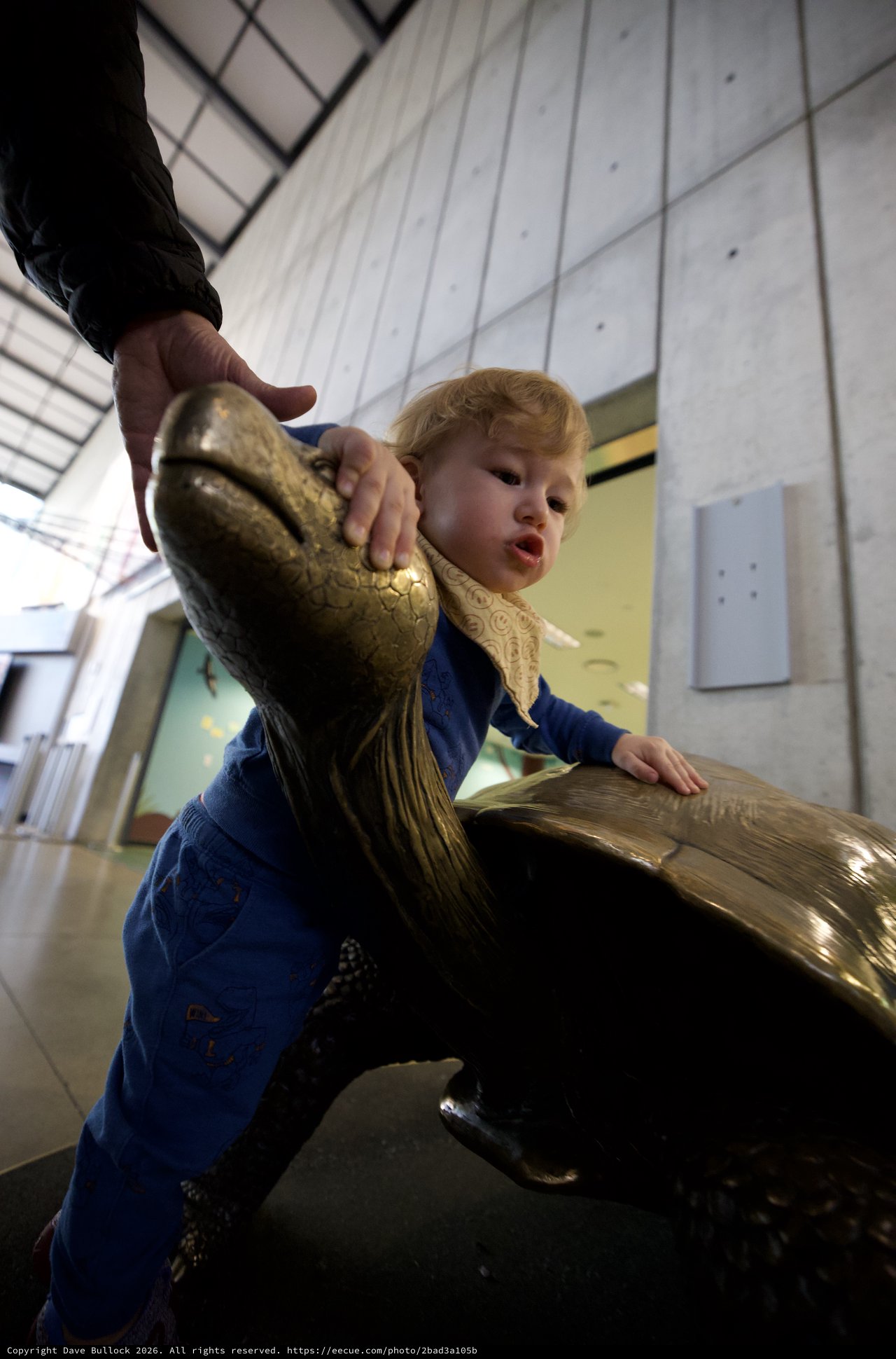 Young Child Discovers Bronze Goose Sculpture in Museum
