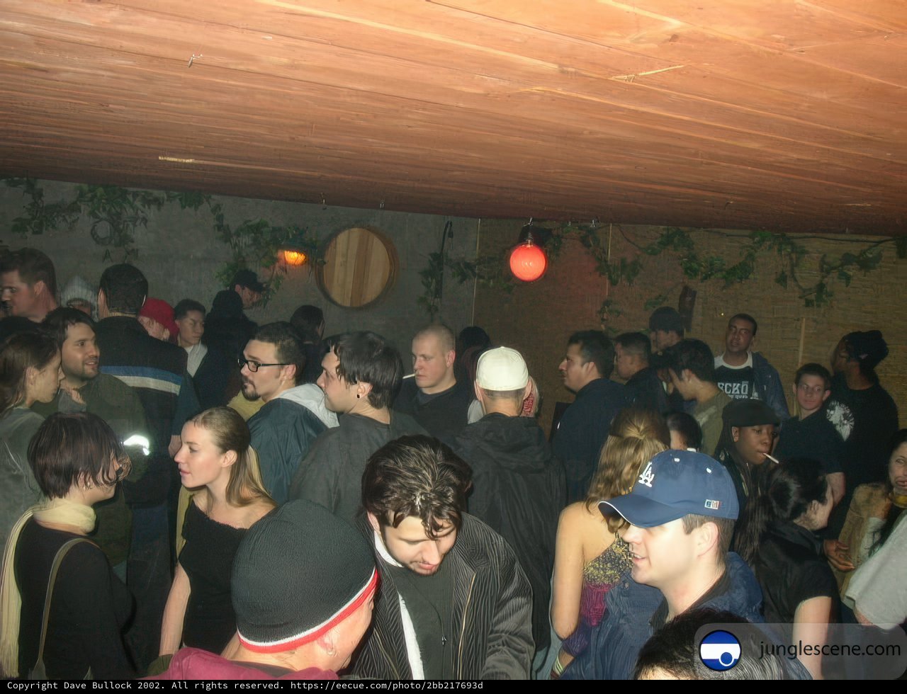 Nightlife Fun in a Crowded Club