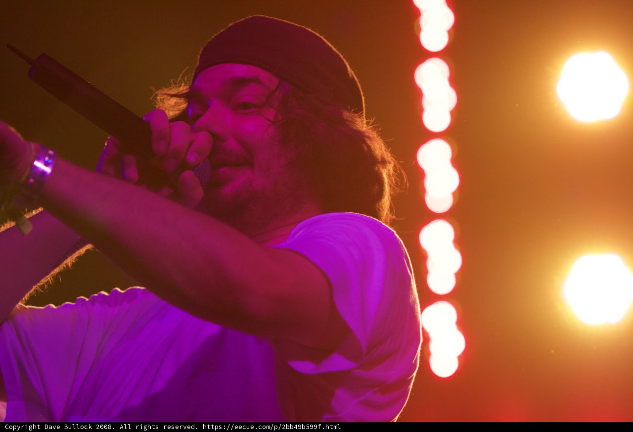 Aesop Rock Takes the Spotlight at Coachella Concert