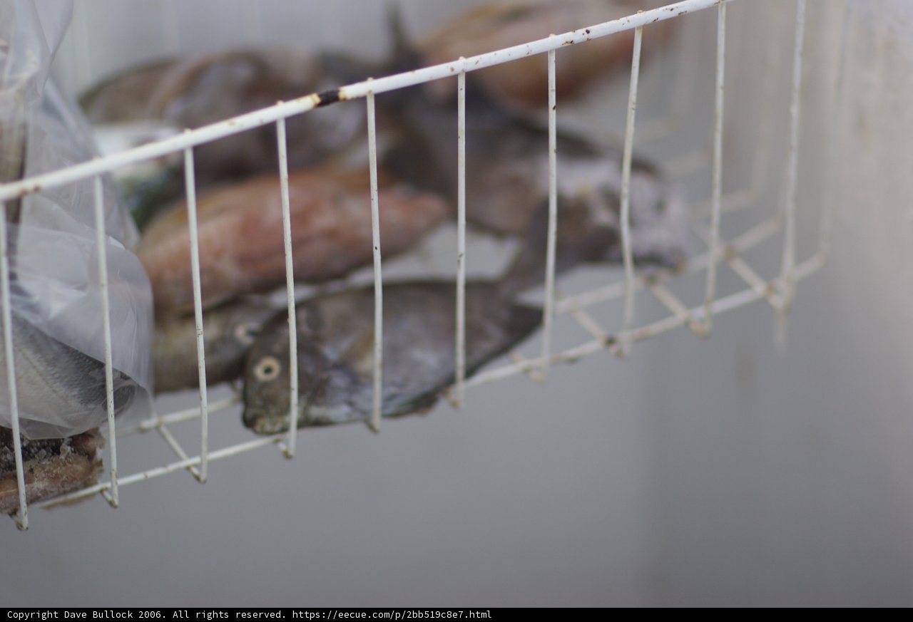 Fish Basket