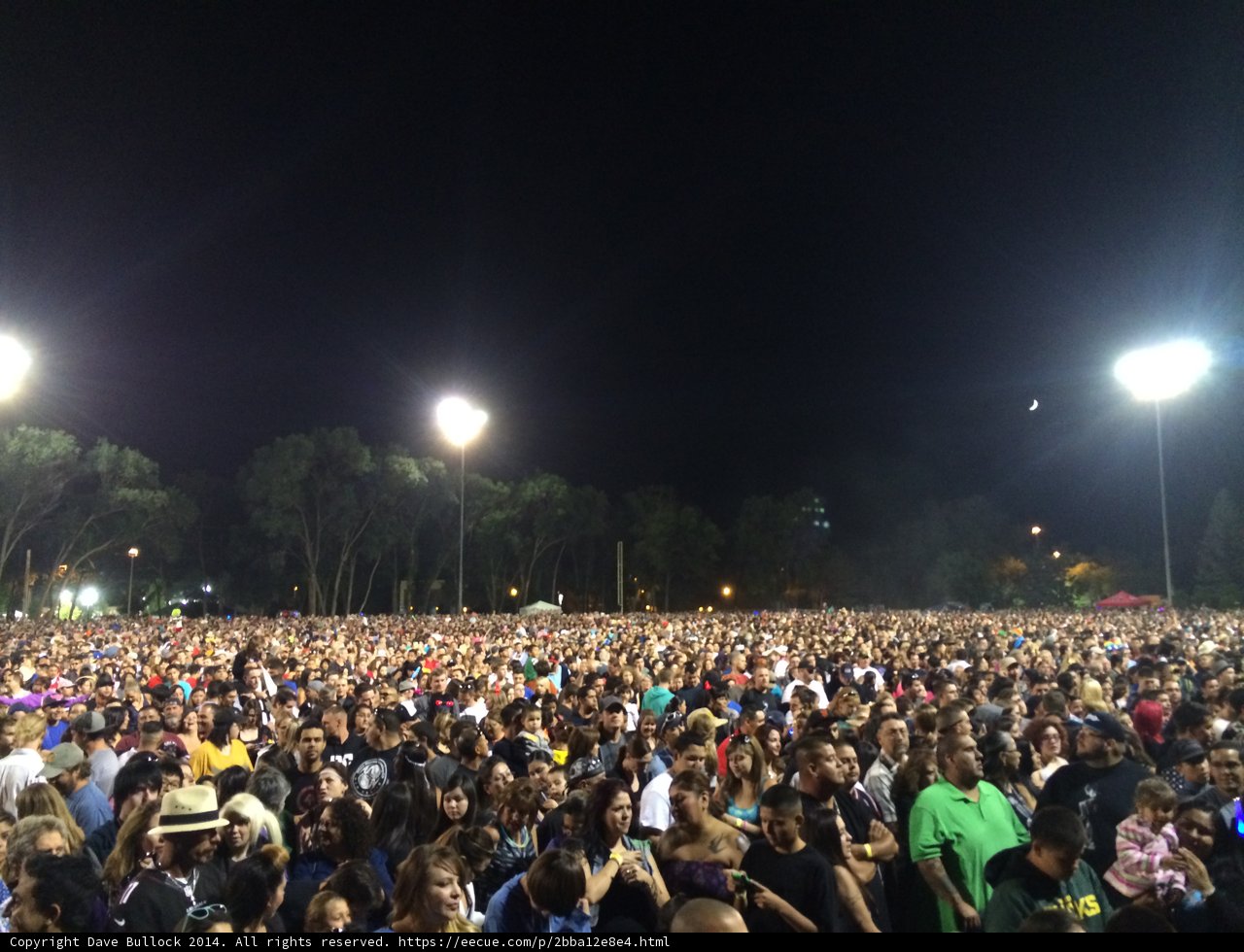 Concert Under the Stars