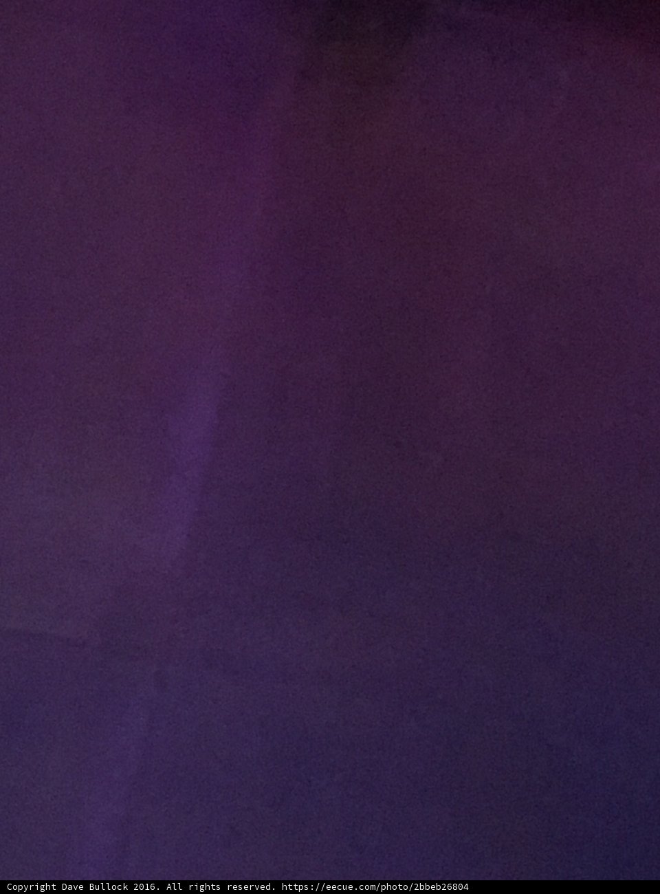 Purple Skateboarder