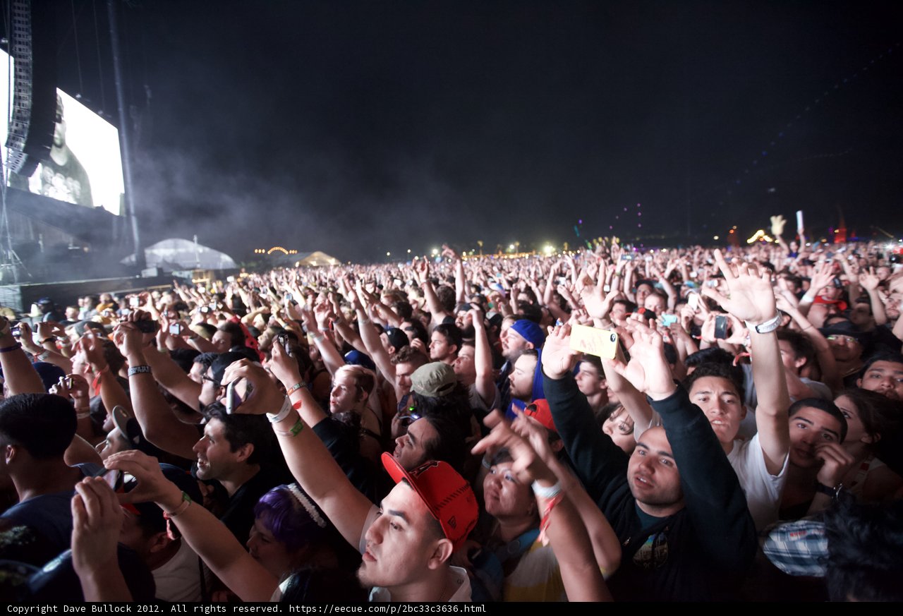 Concert Crowd Goes Wild