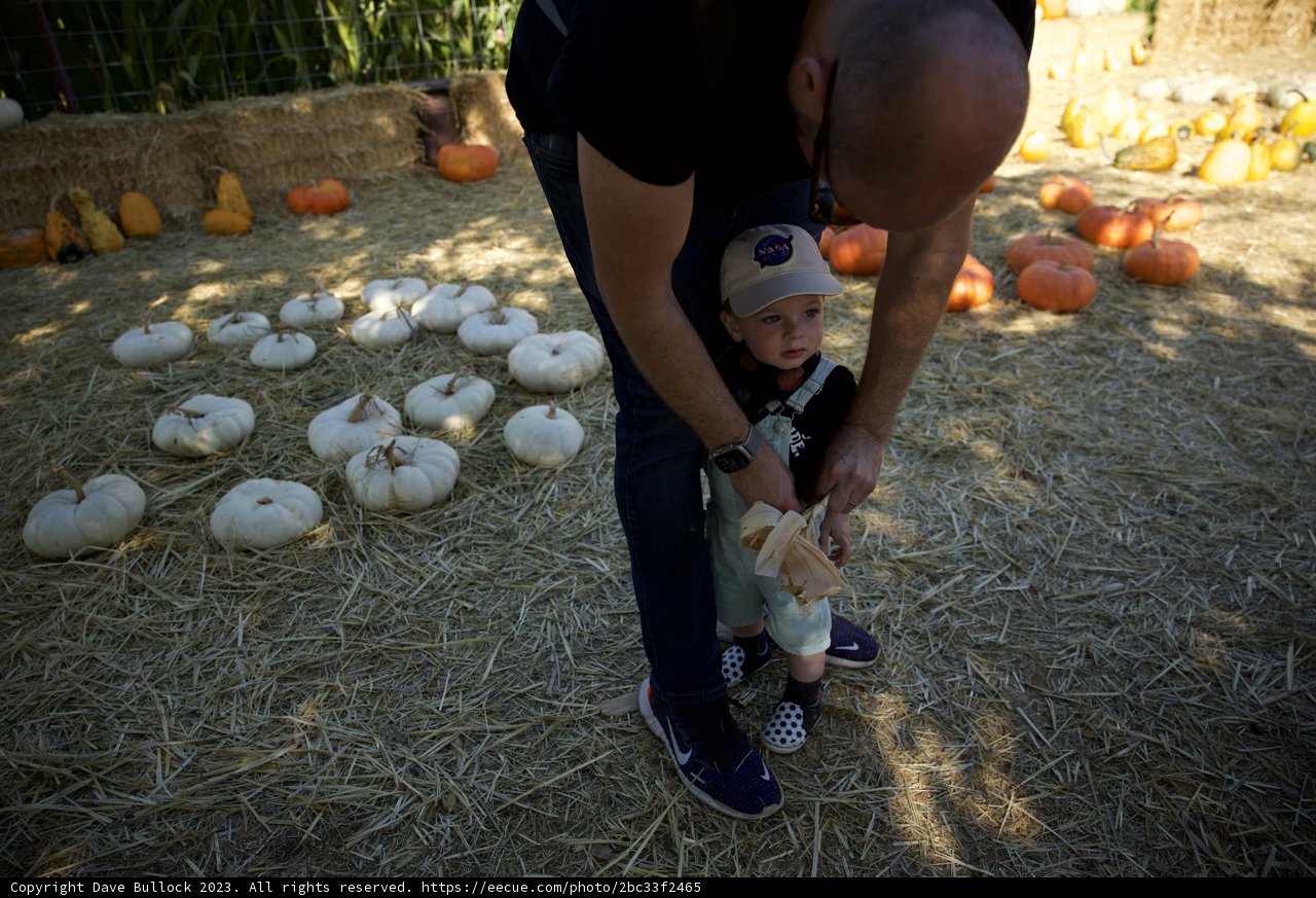 A Joyful Day at the Pumpkin Patch