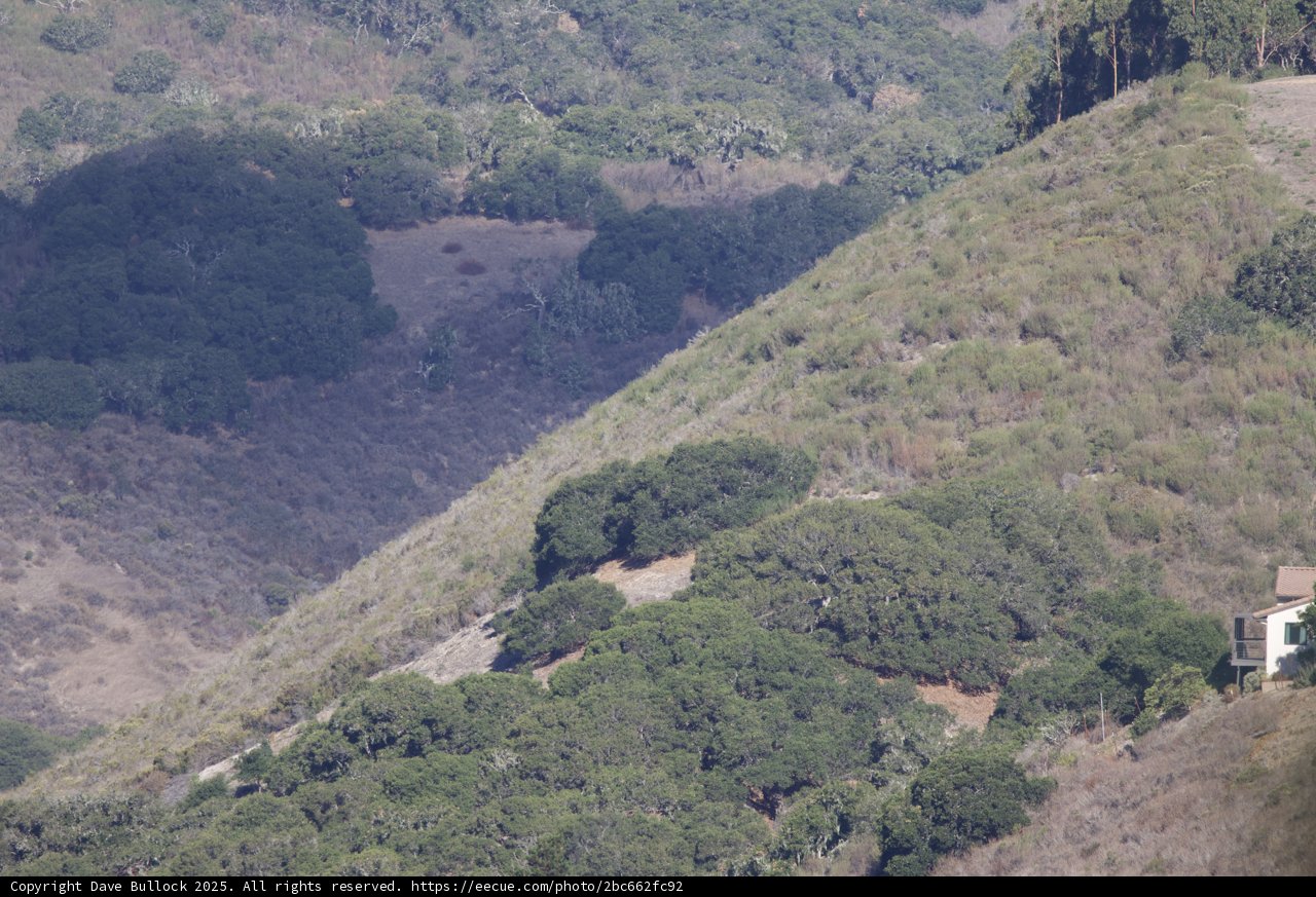 Serenity in the Carmel Highlands