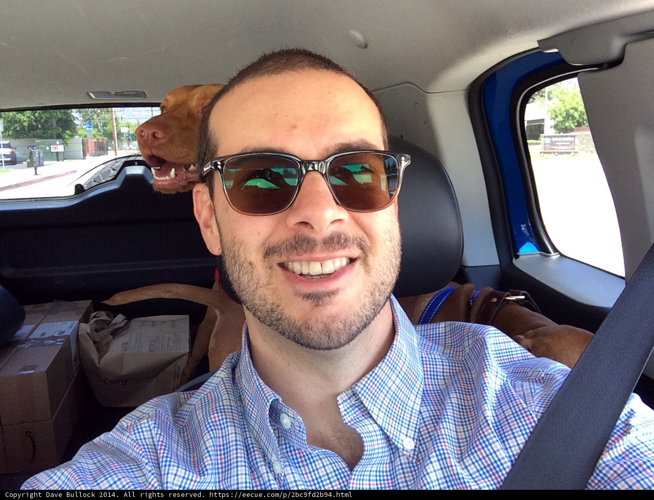 Joyride with My Furry Companion