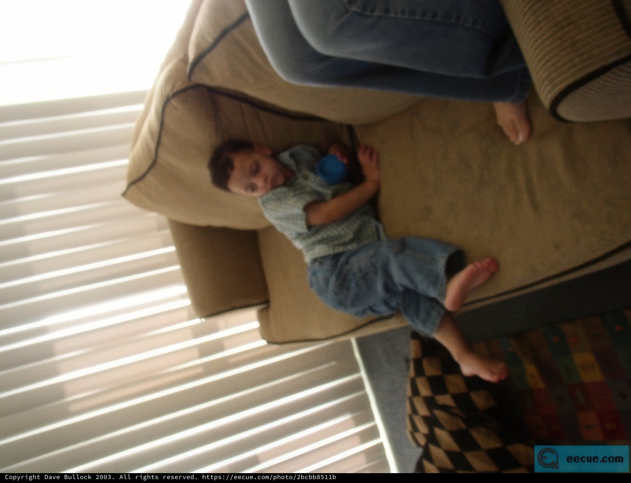 Cozy Nap on the Couch