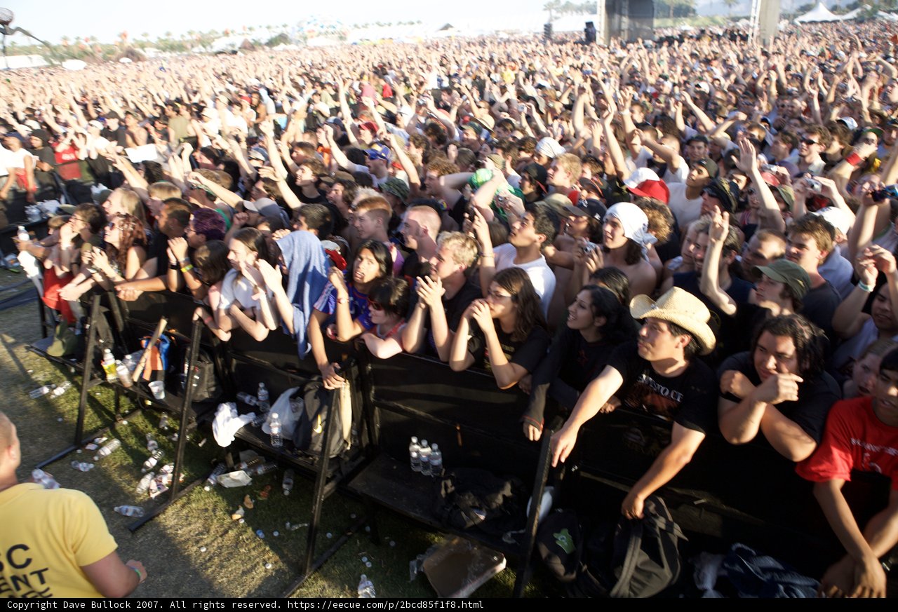 High Energy Concert Goers