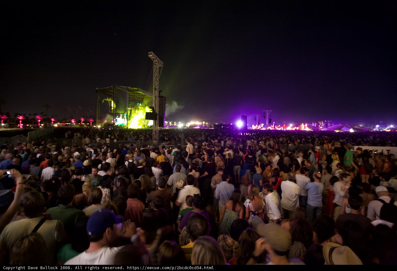 Nighttime Revelry at 2008 Coachella