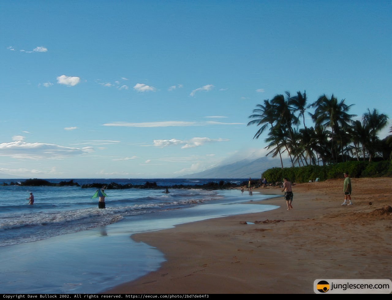 A Summer Day at the Hawaiian Shoreline