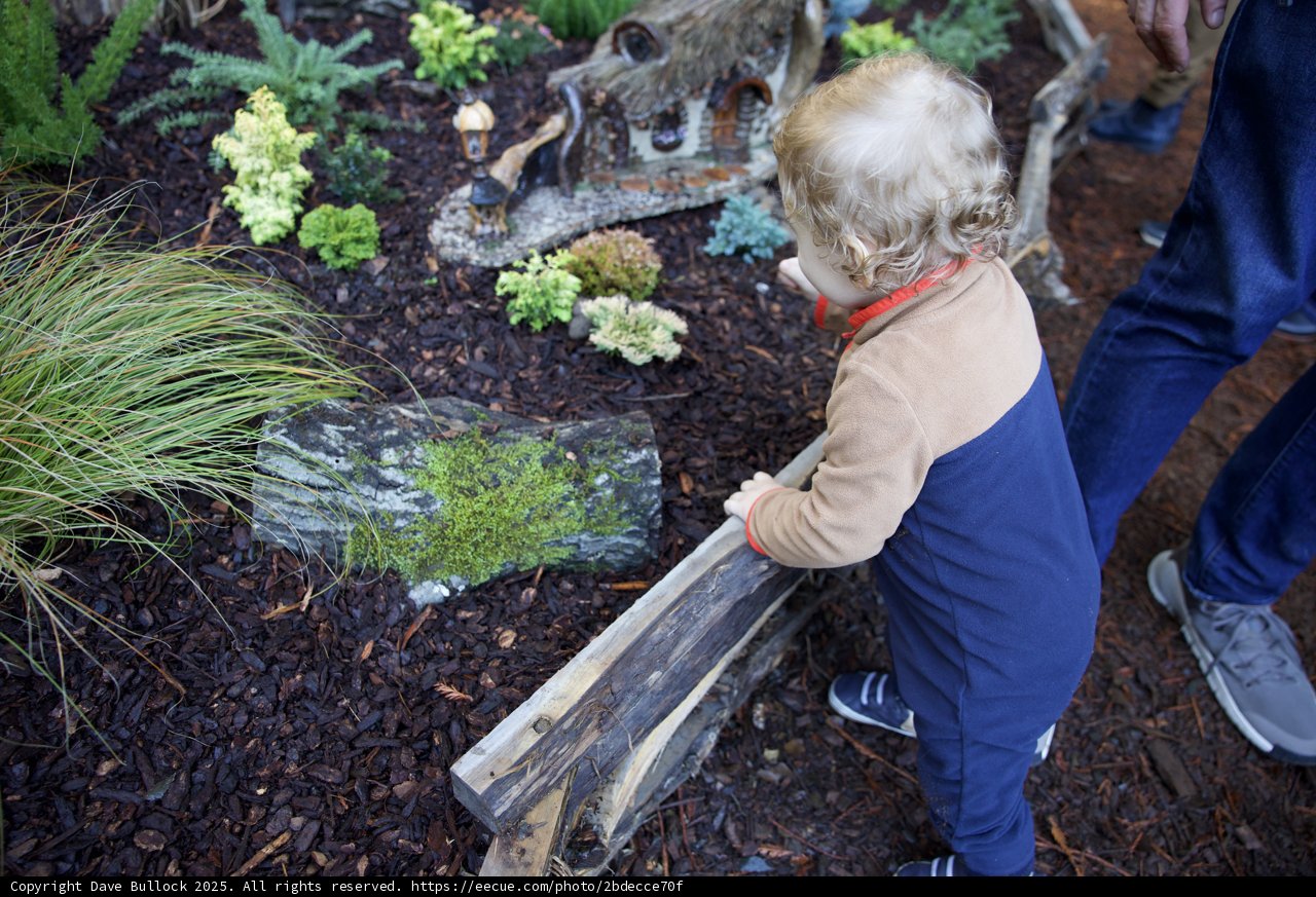 Exploring Nature's Wonders