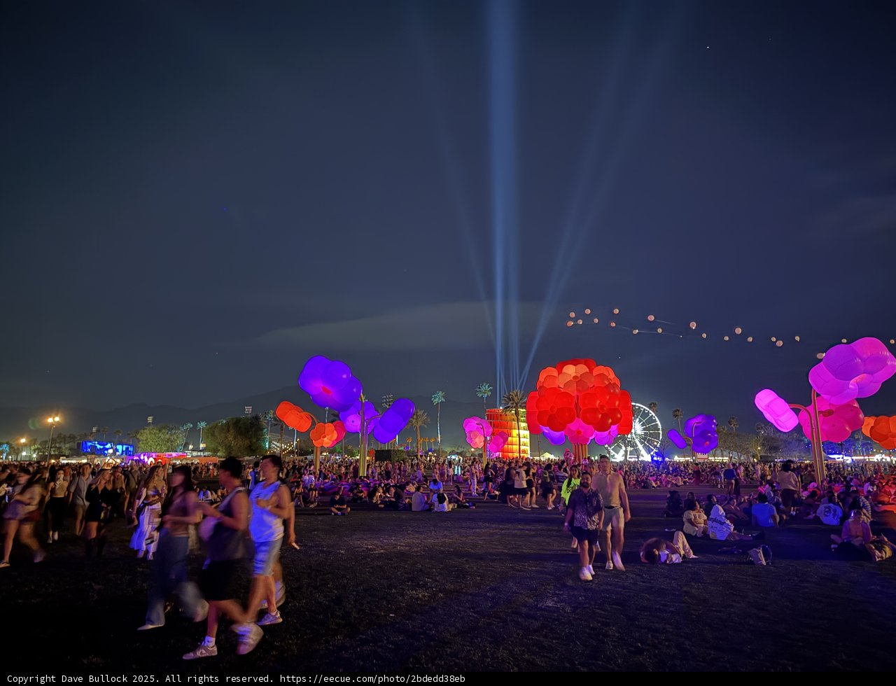 Nighttime Vibrance at Empire Polo Club
