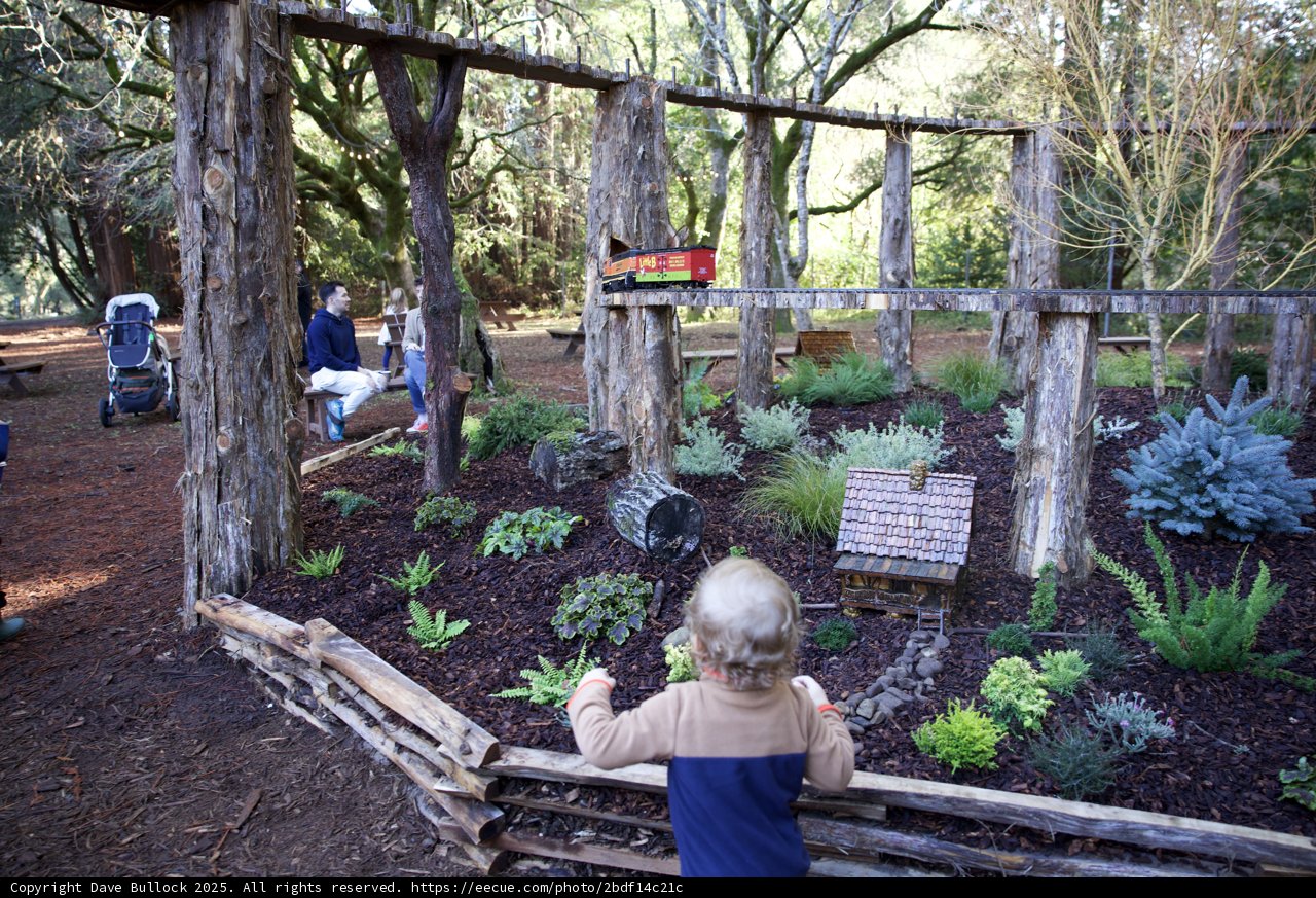 Enchanted Exploration at Thistlewyck