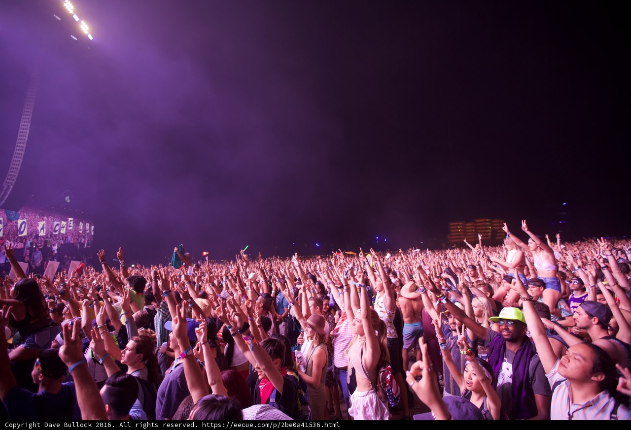 Lights, Crowd, Action!