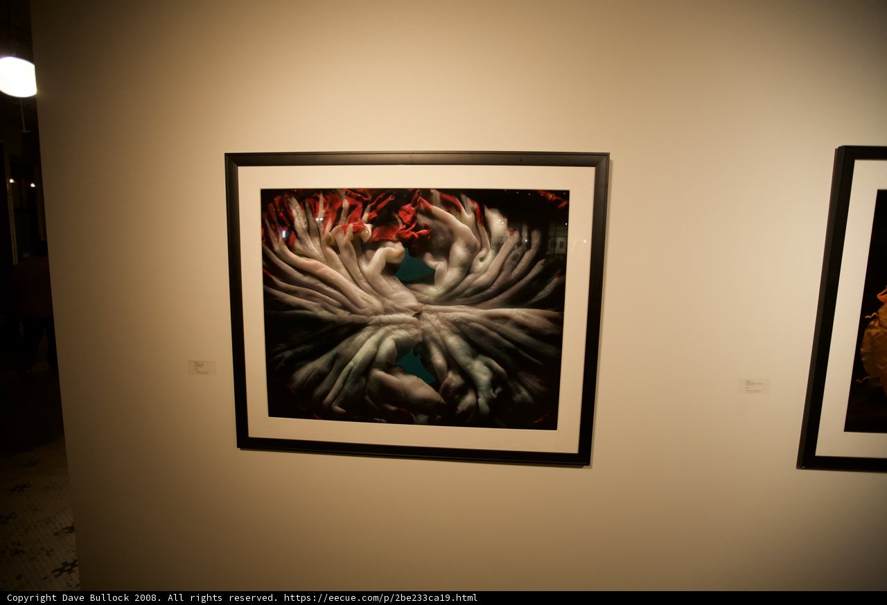Dual Art Display