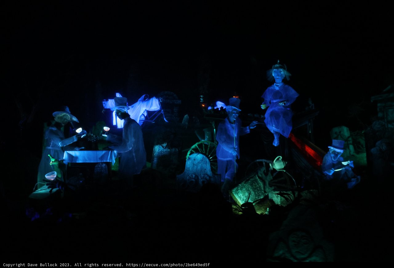 Electrifying Concert at Disneyland Magic Kingdom