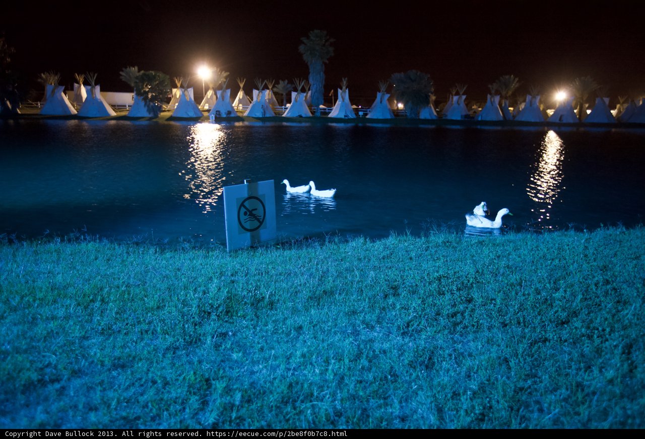 Resort Oasis by Moonlight