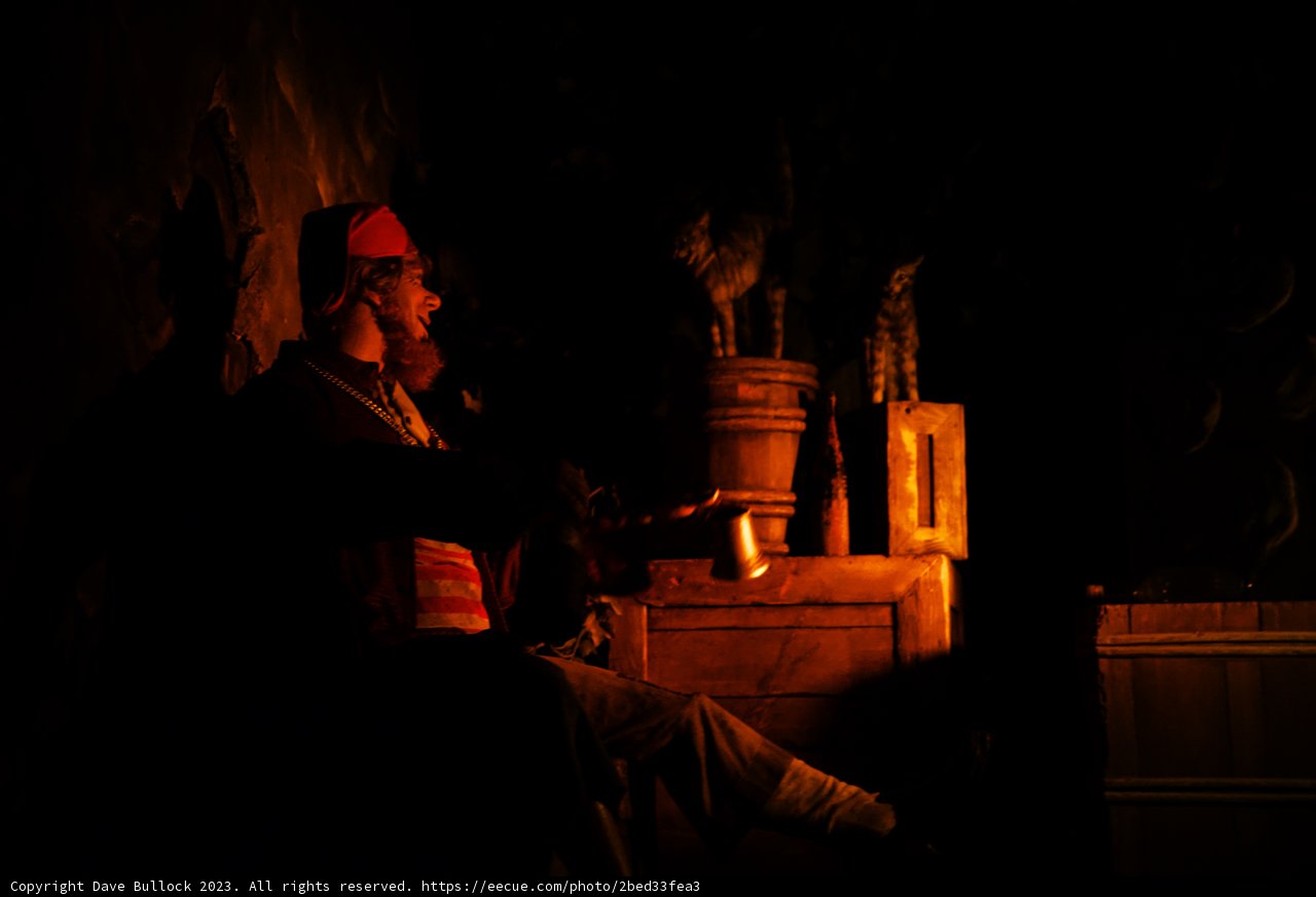Midnight Musings in Disneyland