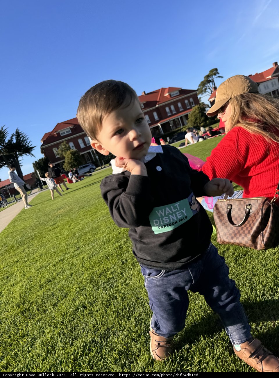 Unleashed Joy in the Greens: A Day in the Life of Wesley