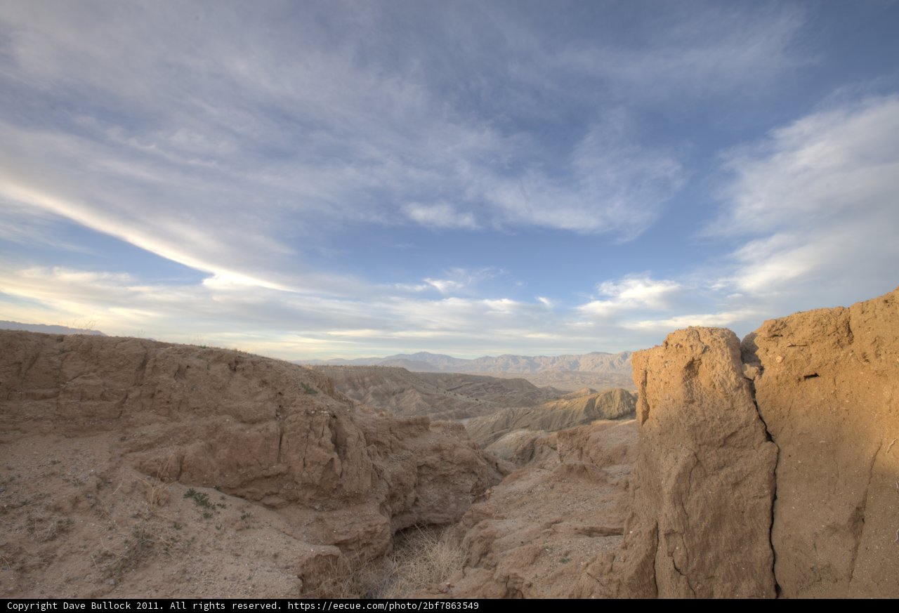 Desert Majesty