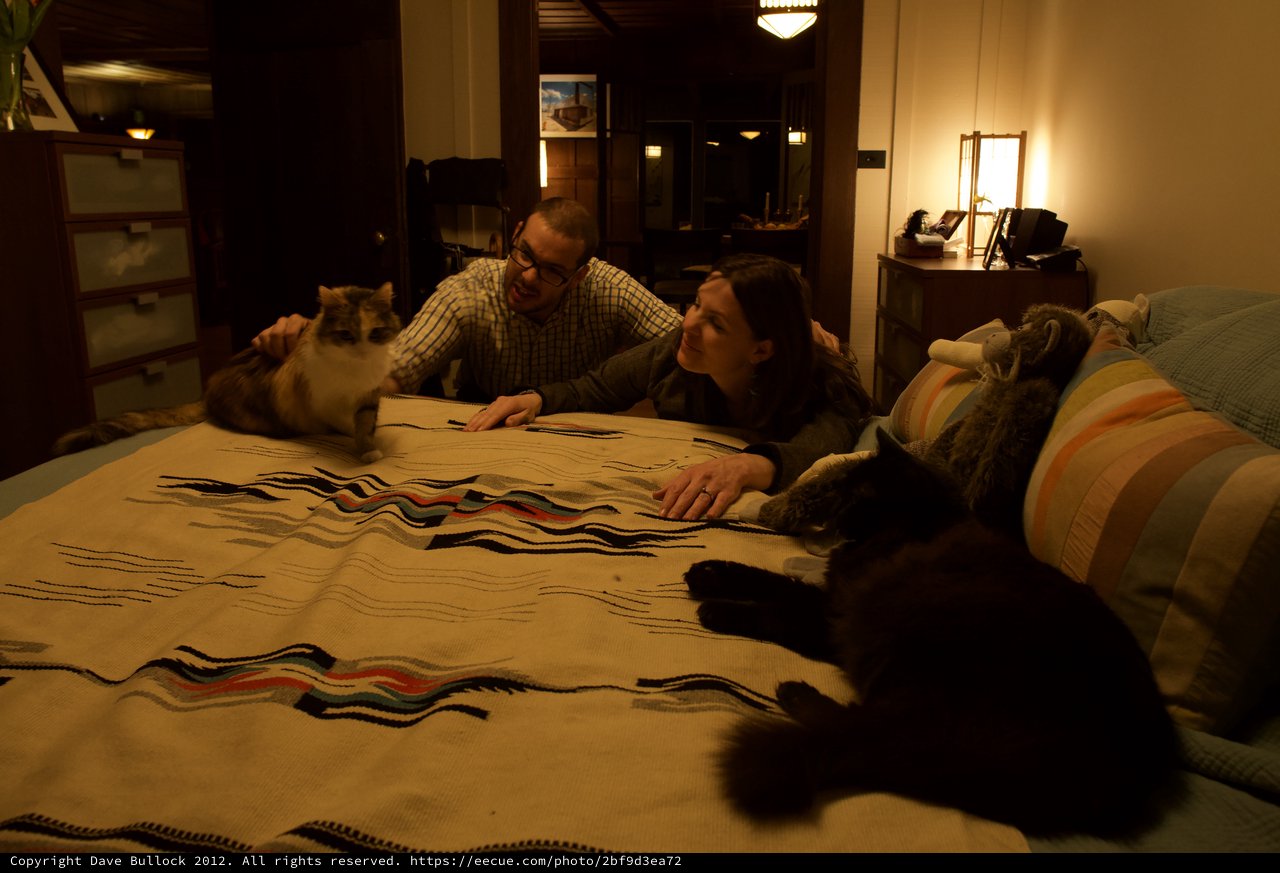 Couple and Cats Sharing a Cozy Evening at Home