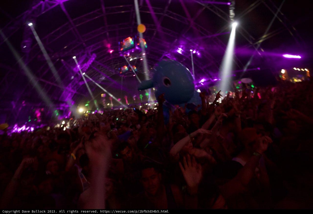 Purple Haze at Coachella