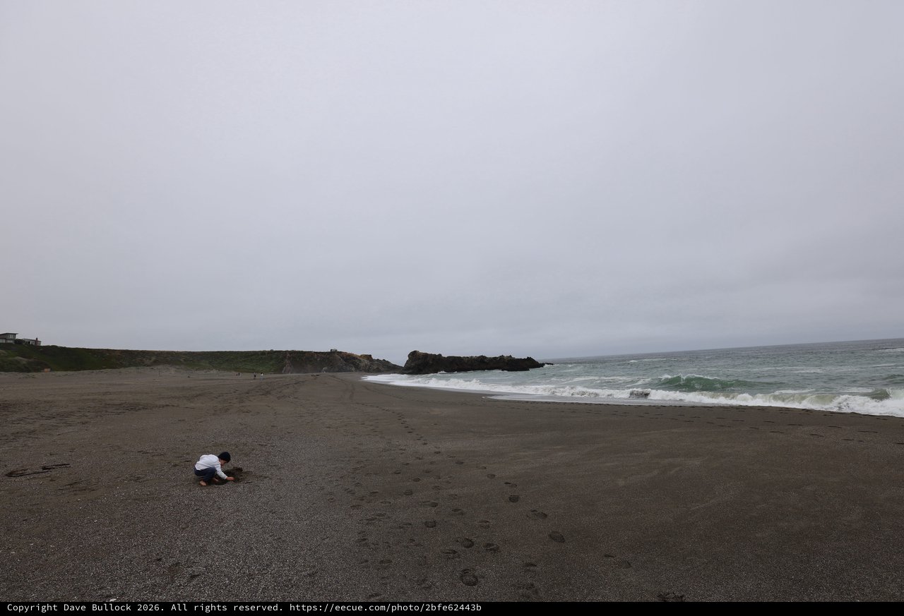 Child Explores Foggy Northern California Coastal Beach
