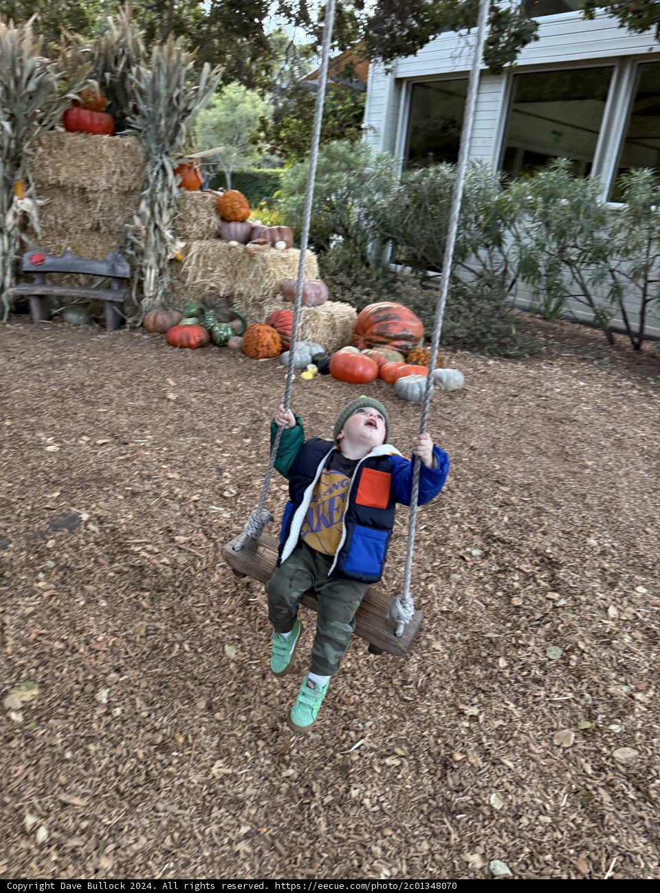 Autumn Adventures in Carmel