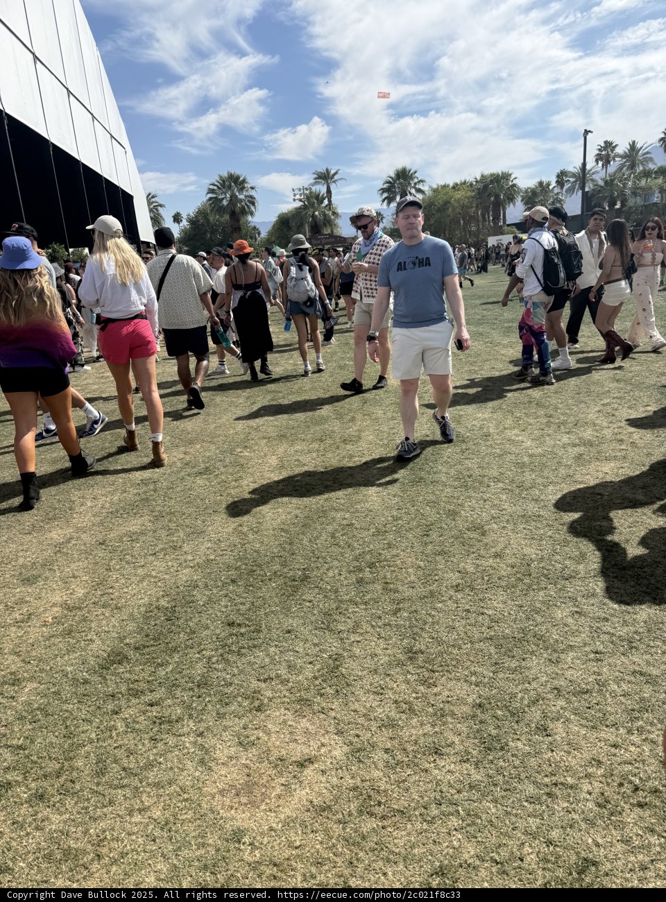 Strolling Through Sunshine and Sounds