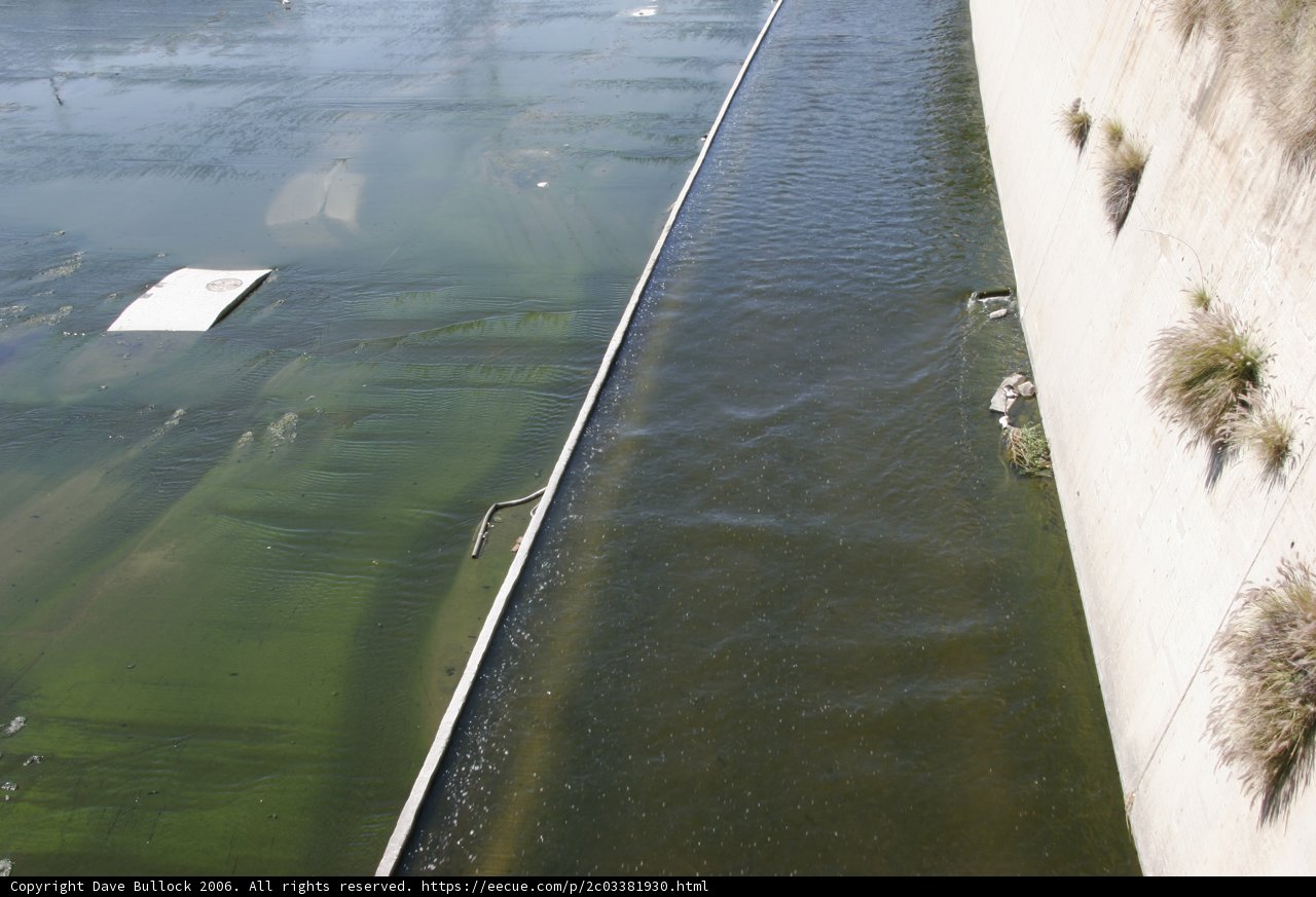 Green Algae Canal