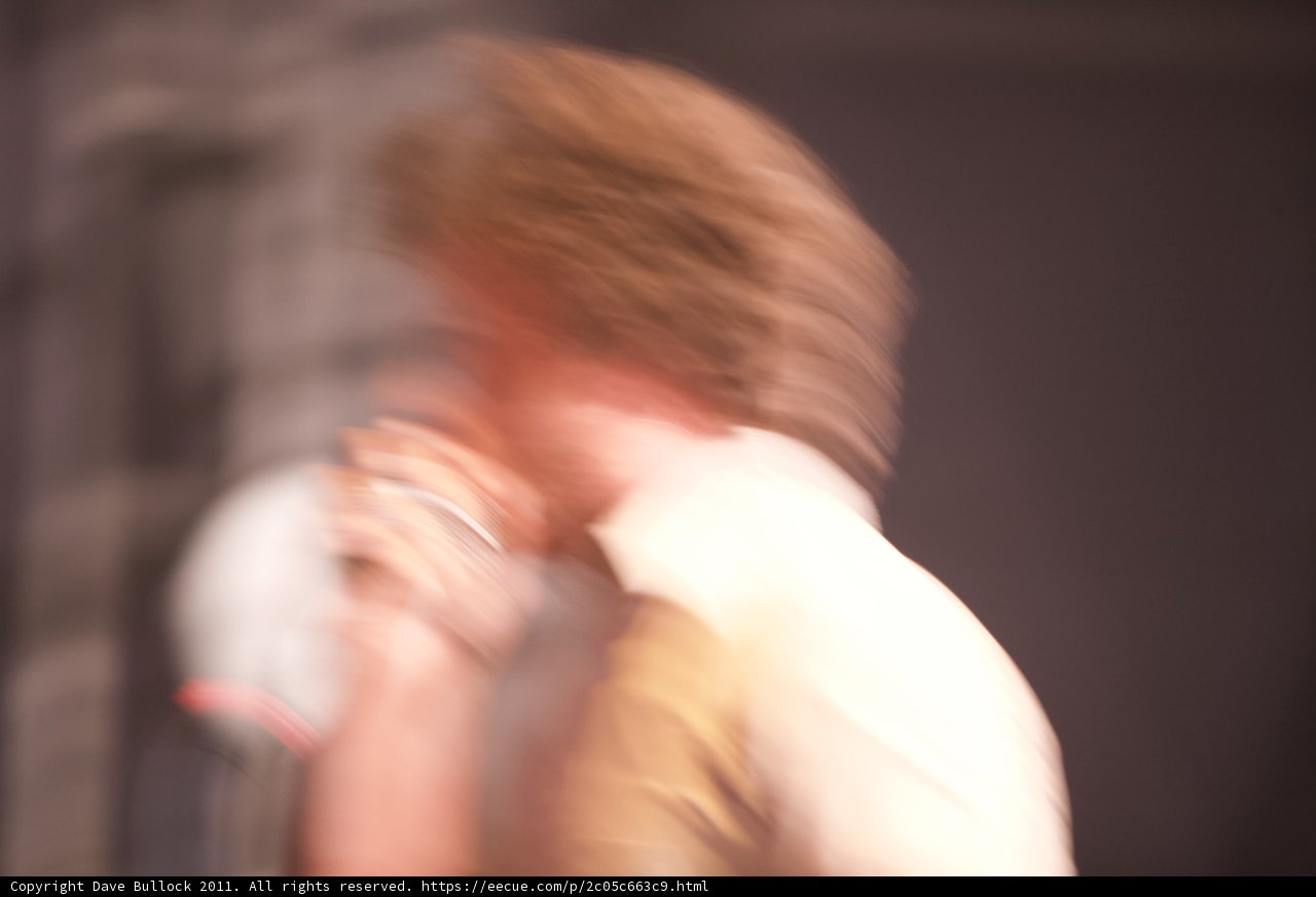 Blurry Coachella Performance