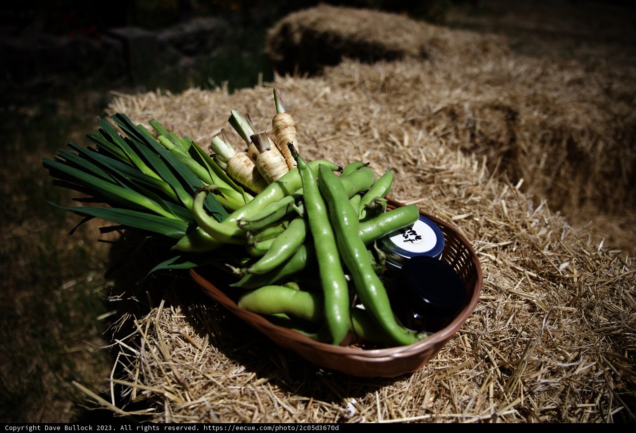 Vibrant Harvest from Our Regenerative Garden