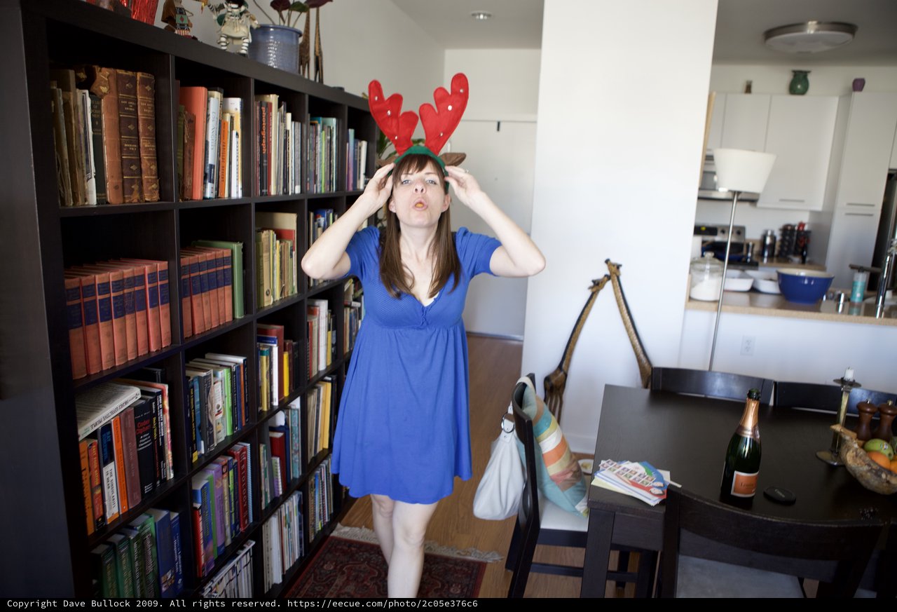 Festive Reindeer Antlers on Christmas Day 2009