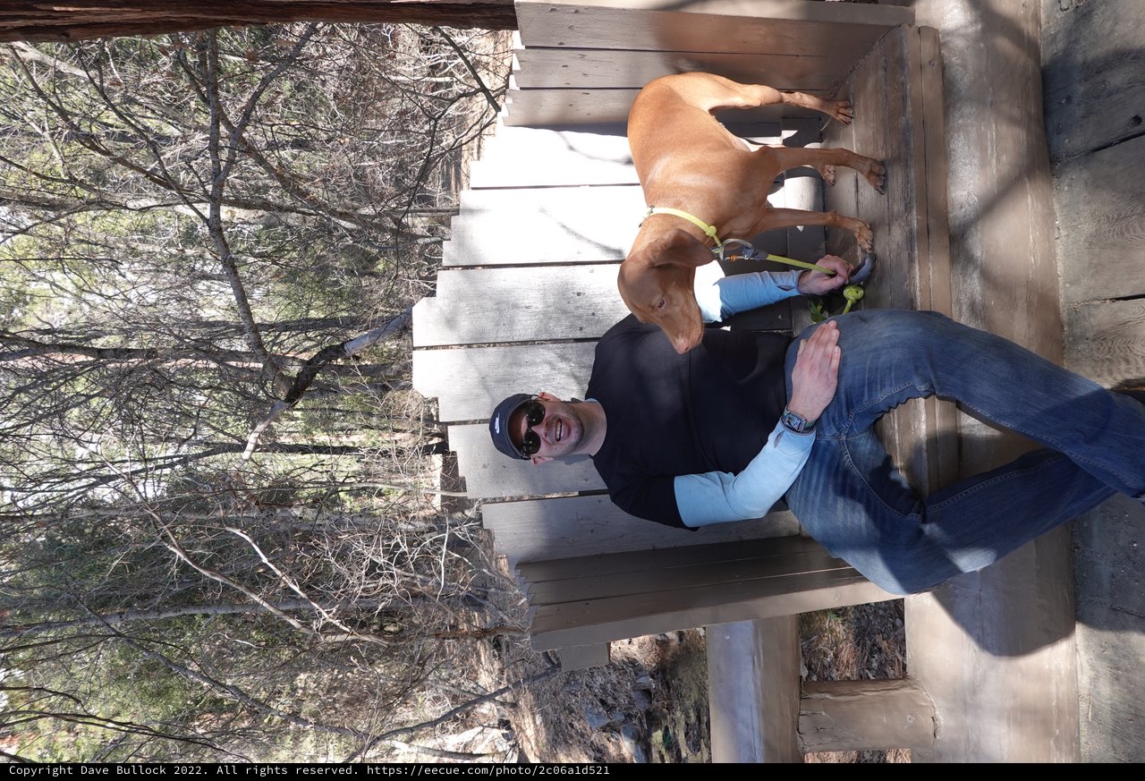 Man and Dog Relaxing on Wooden Bench
