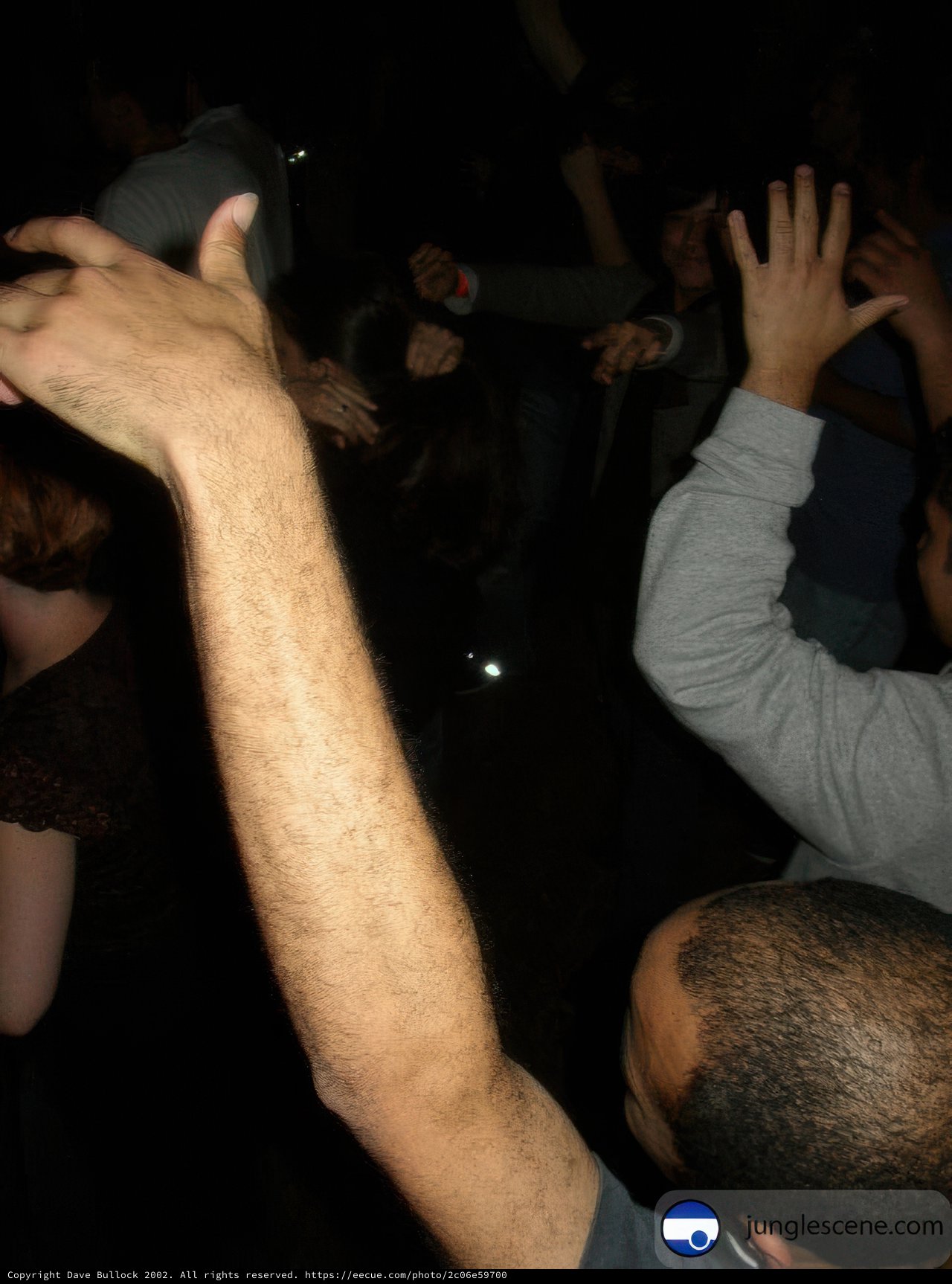 Party at the Night Club