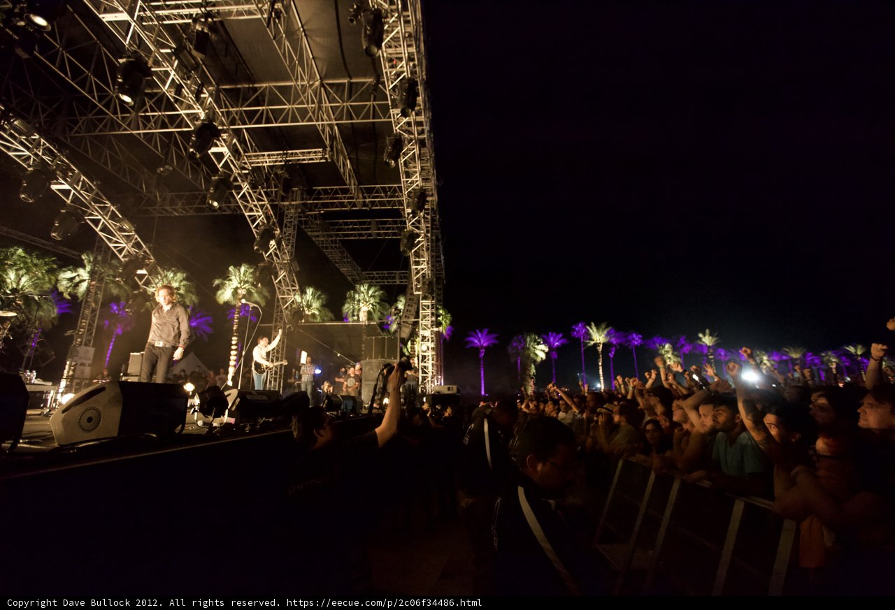 Rocking under the Palm Trees