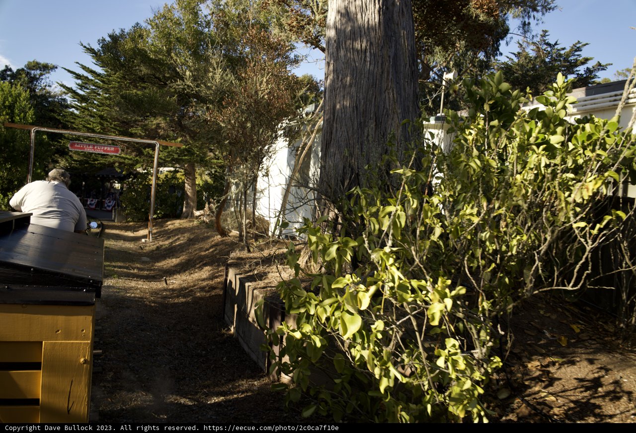 A Cab Halt in The Midst of Nature