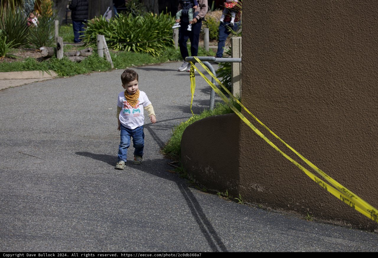 A Walk of Awareness