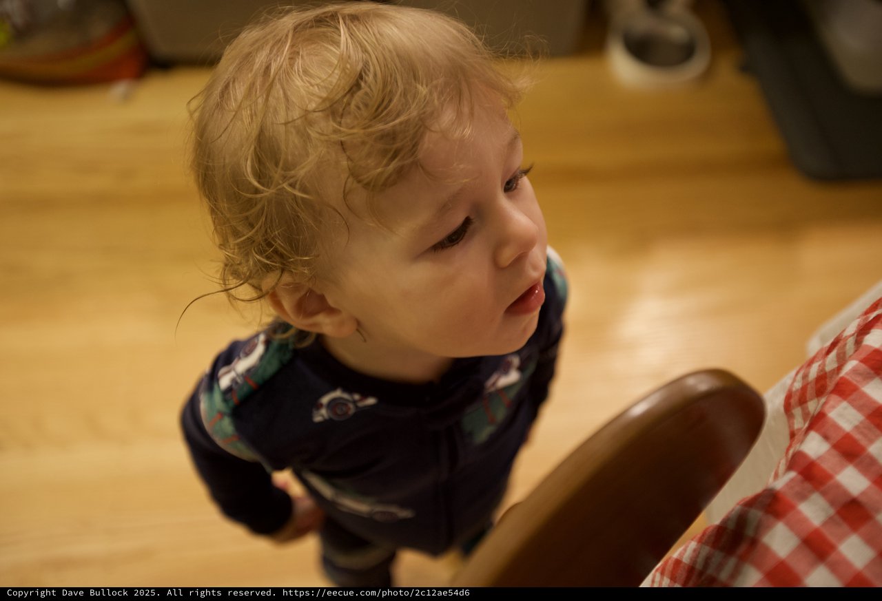 Toddler with Curly Blonde Hair at Christmas Gathering
