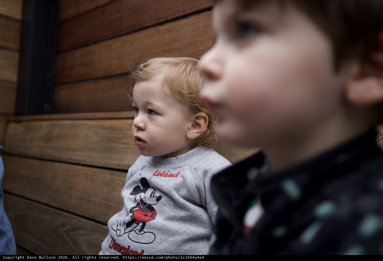 Young Children Watching Intently at an Event