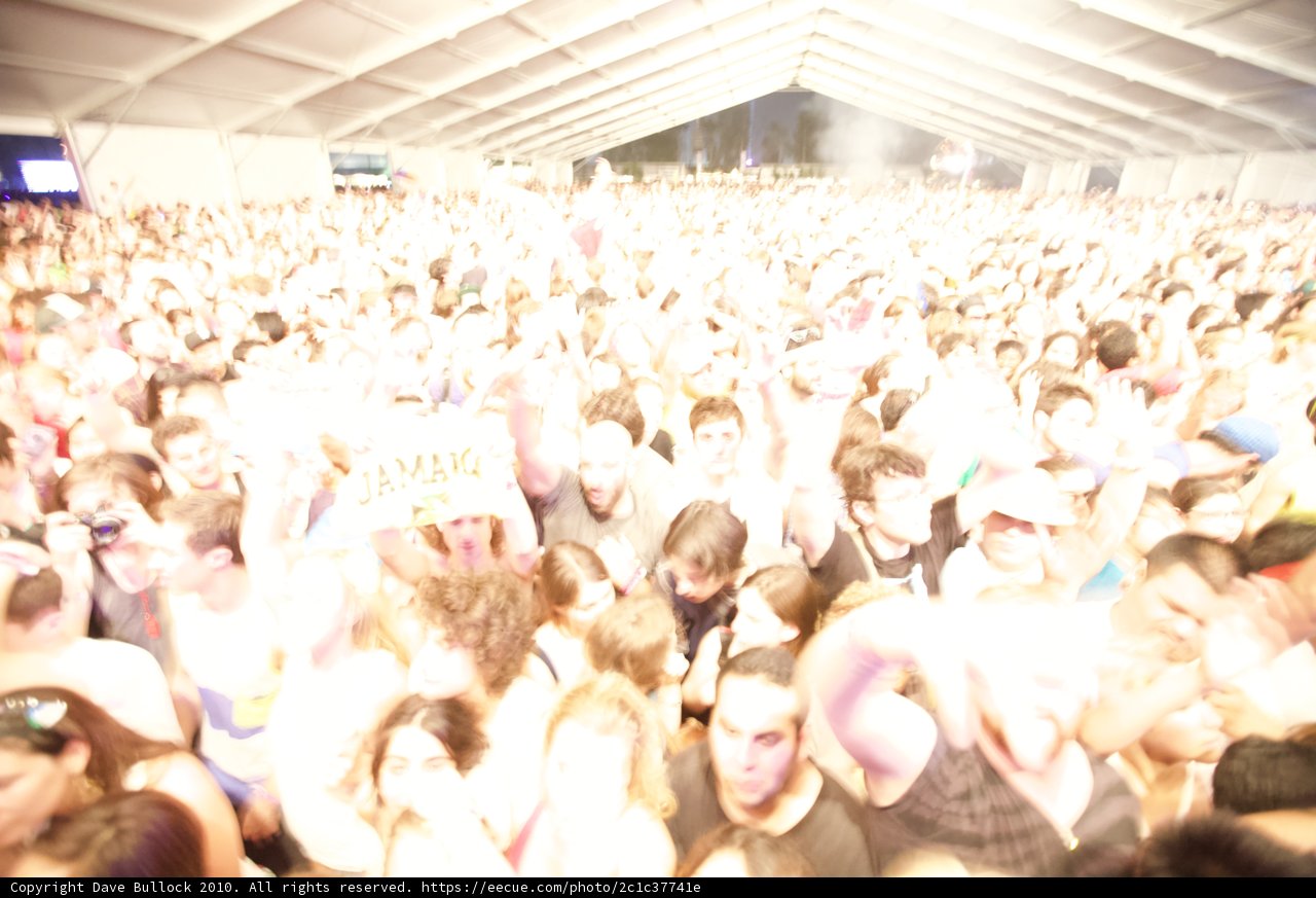 Music Festival Madness