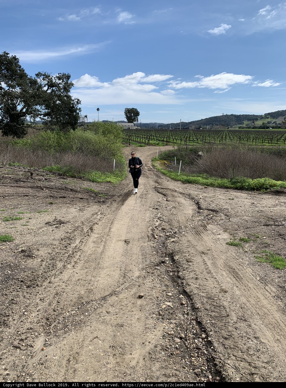 Running Along the Gravel Path