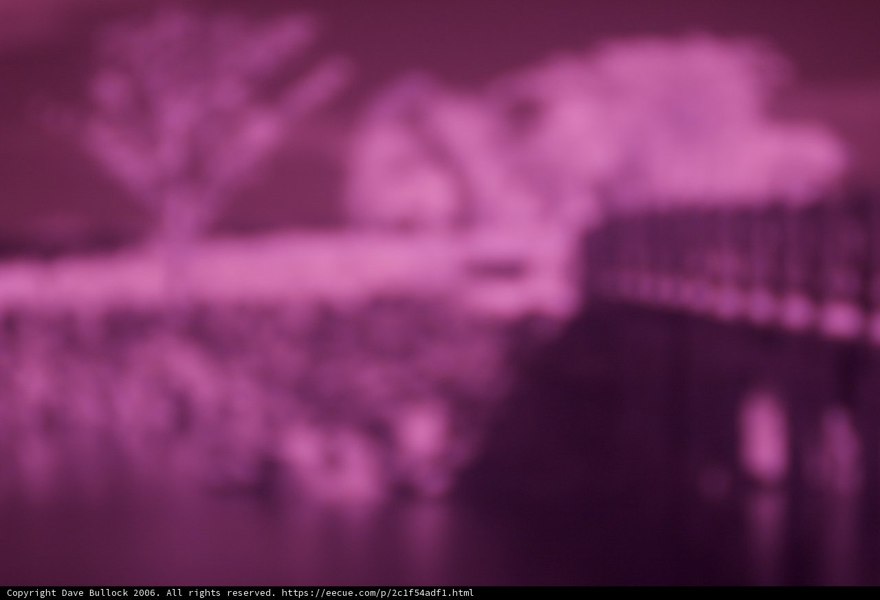 Purple Bridge and Trees