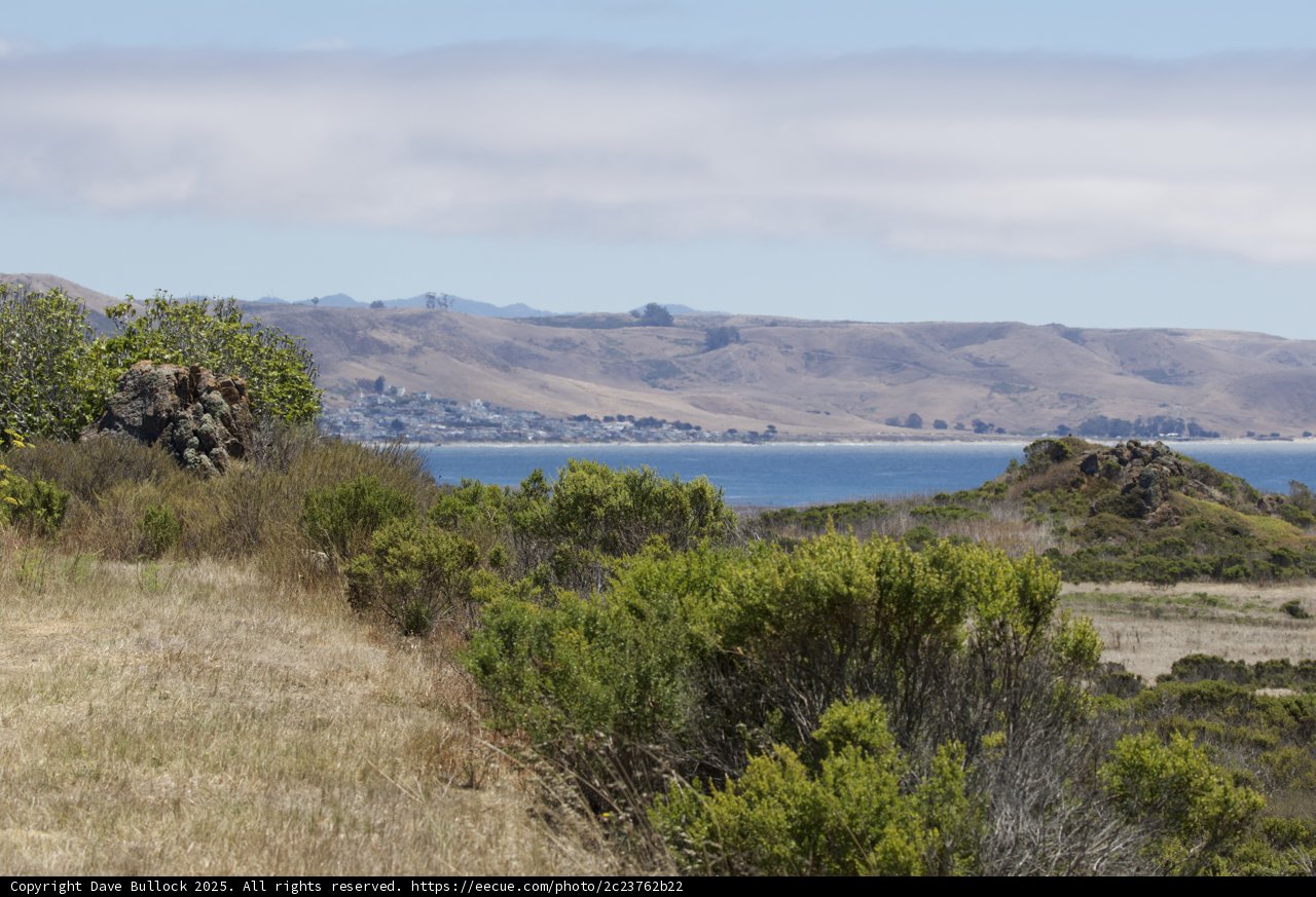 Whispering Shores of Cayucos