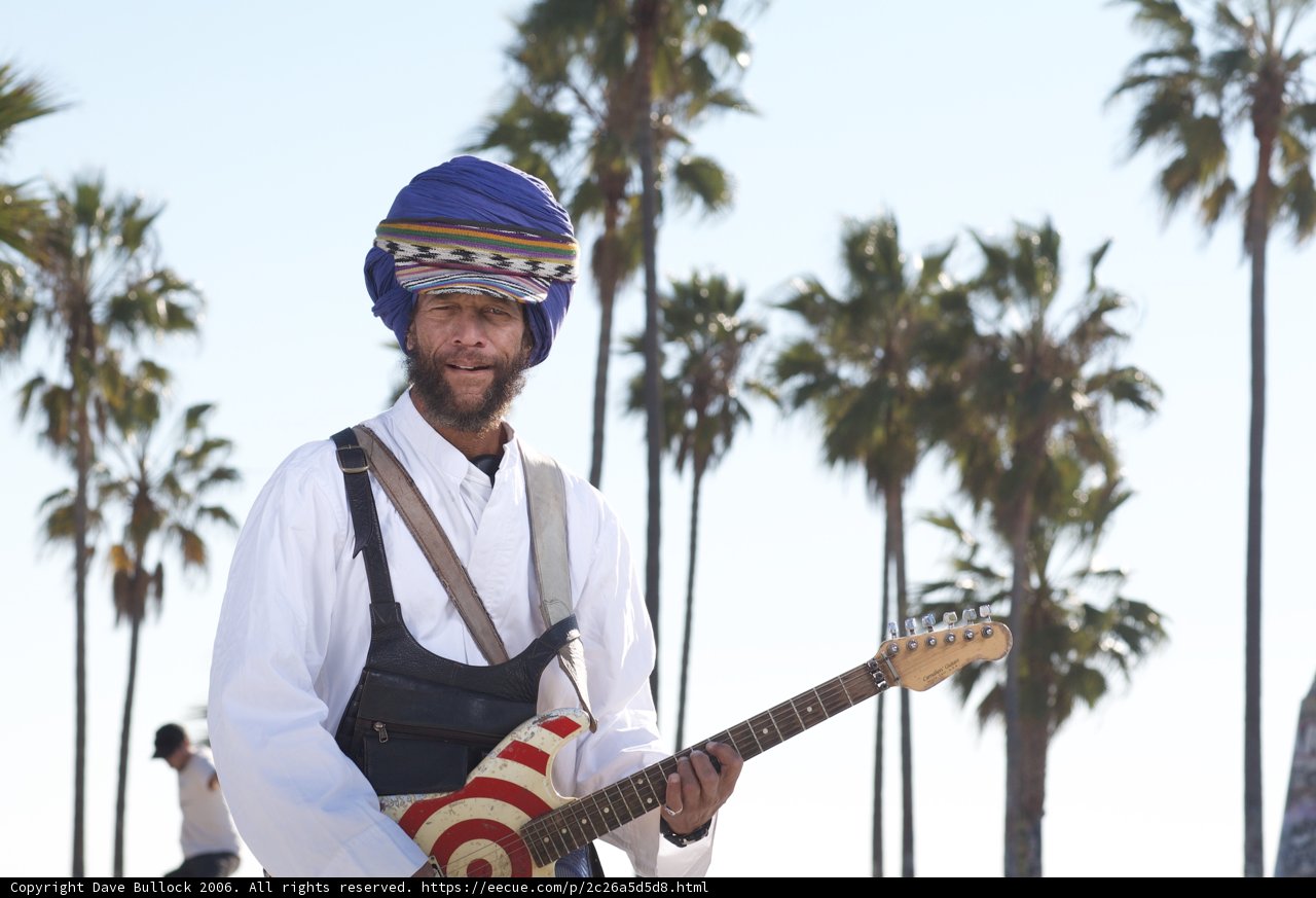 Turbaned Guitarist serenades under Palm Trees